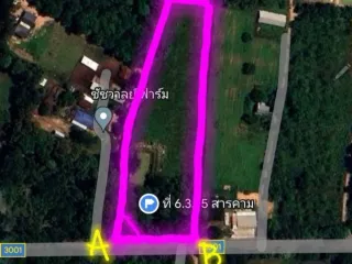 ขาย ที่ดิน ใน กันทรวิชัย, มหาสารคาม