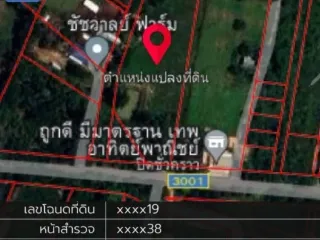 ขาย ที่ดิน ใน กันทรวิชัย, มหาสารคาม