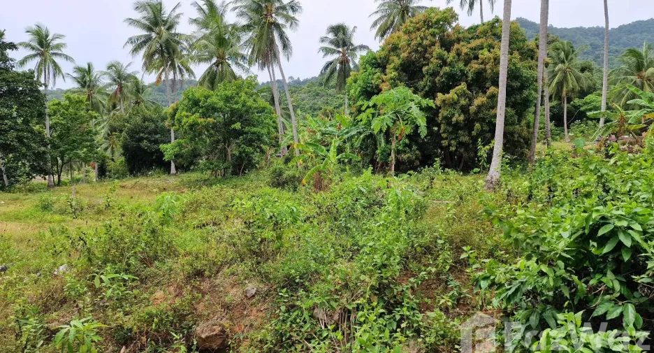 Terreno en venta en Khanom, Nakhon Si Thammarat