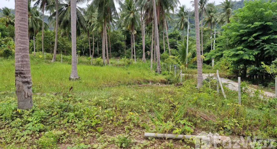 Terreno en venta en Khanom, Nakhon Si Thammarat