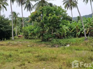 For sale land in Khanom, Nakhon Si Thammarat