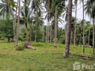 For sale land in Khanom, Nakhon Si Thammarat