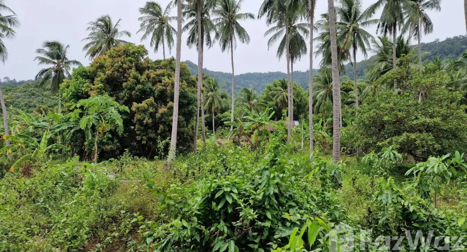 Terreno en venta en Khanom, Nakhon Si Thammarat