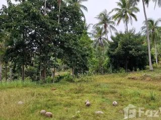 For sale land in Khanom, Nakhon Si Thammarat