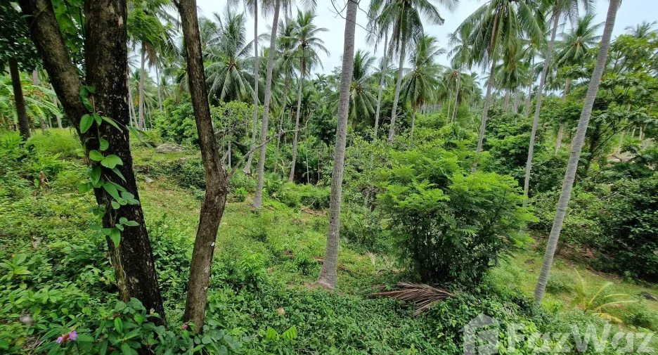 Terreno en venta en Khanom, Nakhon Si Thammarat