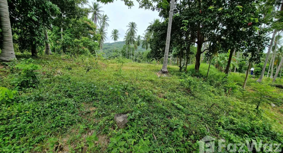Terreno en venta en Khanom, Nakhon Si Thammarat