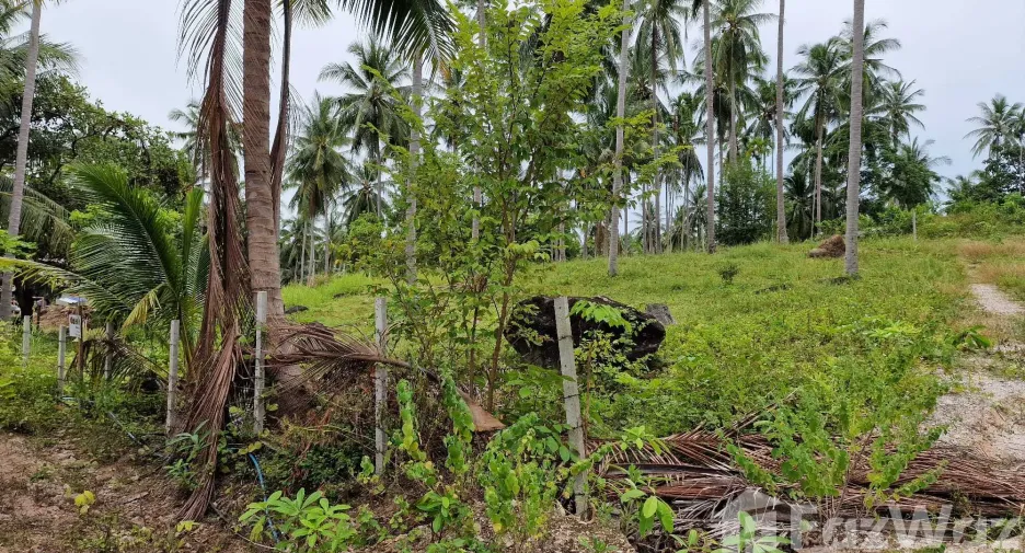 Terreno en venta en Khanom, Nakhon Si Thammarat