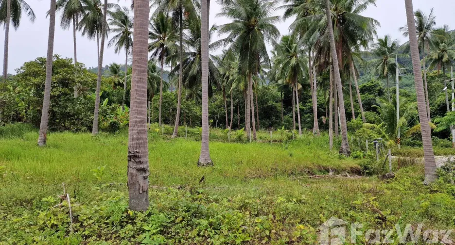 Terreno en venta en Khanom, Nakhon Si Thammarat
