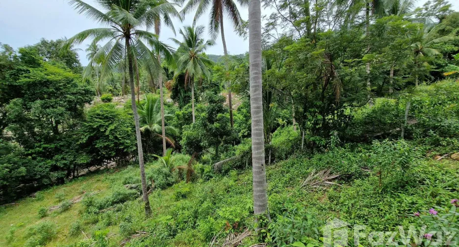 Terreno en venta en Khanom, Nakhon Si Thammarat