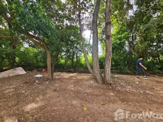 ขาย ที่ดิน ใน กันทรวิชัย, มหาสารคาม