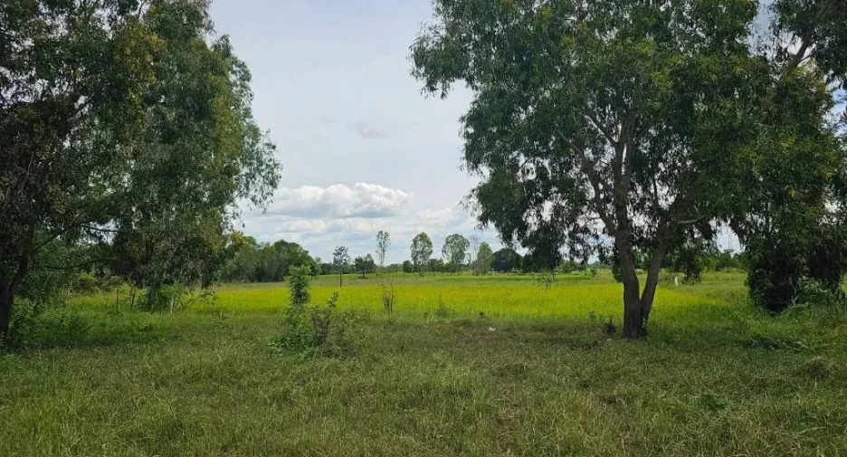 For sale land in Kantharawichai, Maha Sarakham