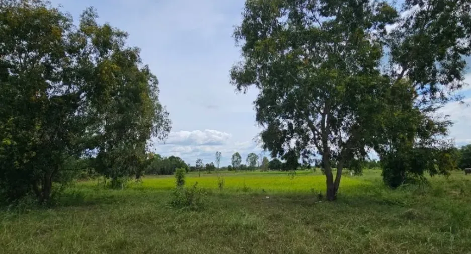 For sale land in Kantharawichai, Maha Sarakham