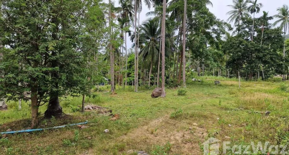 For sale land in Khanom, Nakhon Si Thammarat