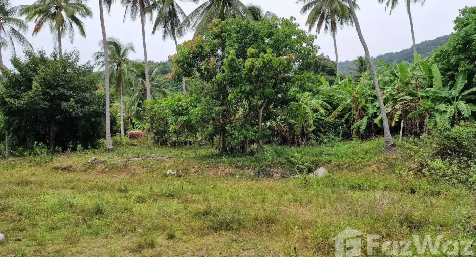 For sale land in Khanom, Nakhon Si Thammarat