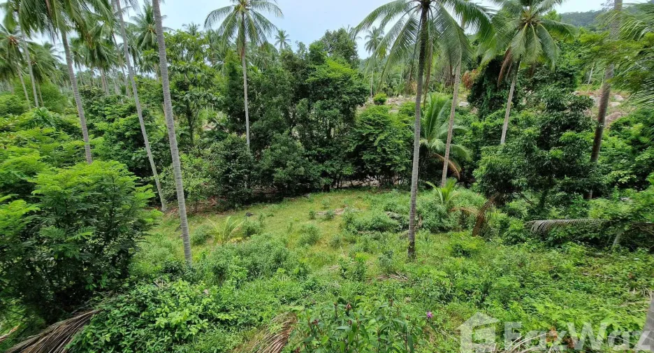For sale land in Khanom, Nakhon Si Thammarat