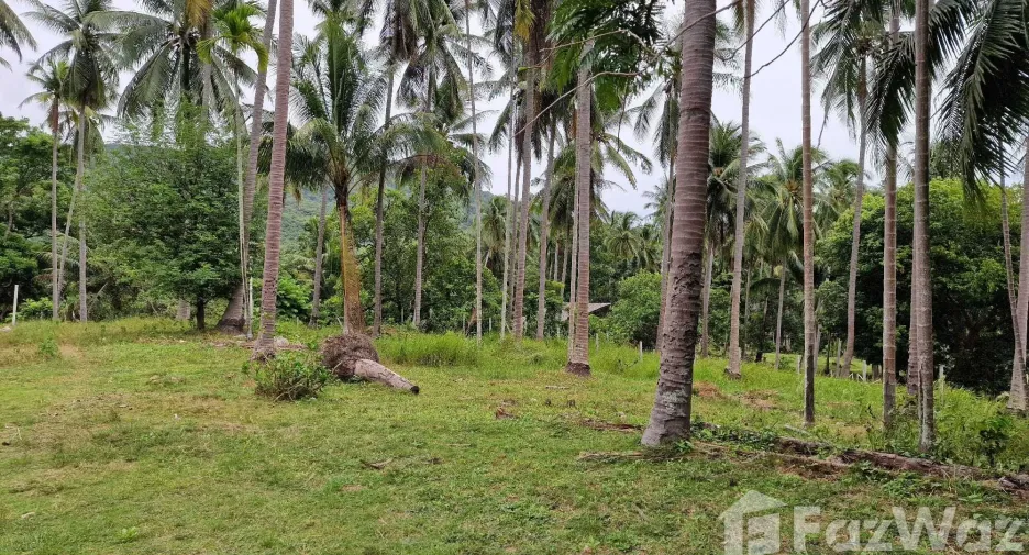 For sale land in Khanom, Nakhon Si Thammarat