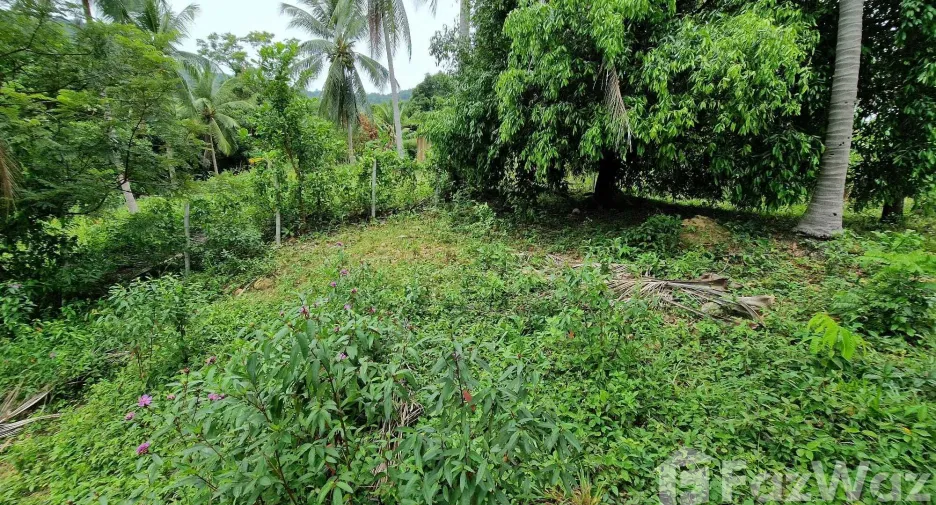 For sale land in Khanom, Nakhon Si Thammarat