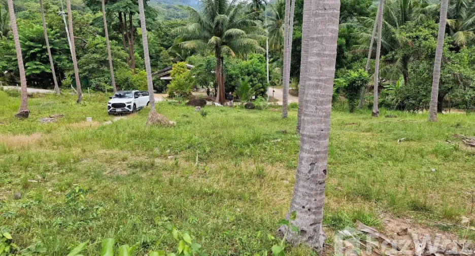 For sale land in Khanom, Nakhon Si Thammarat