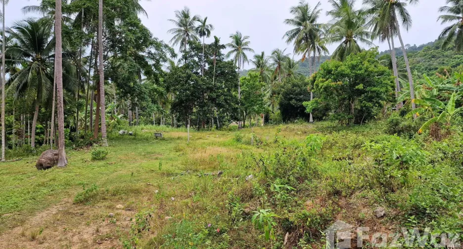 Terreno en venta en Khanom, Nakhon Si Thammarat