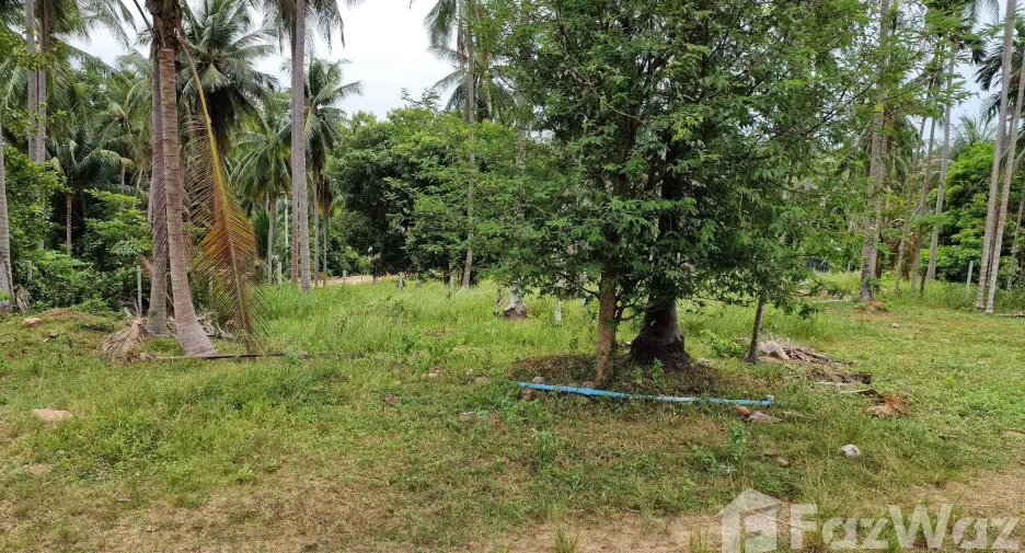 Terreno en venta en Khanom, Nakhon Si Thammarat