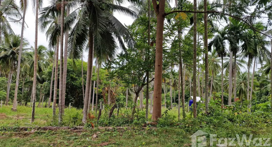 Terreno en venta en Khanom, Nakhon Si Thammarat