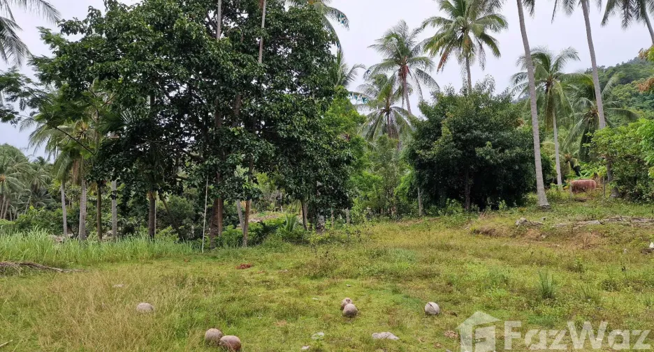 Terreno en venta en Khanom, Nakhon Si Thammarat