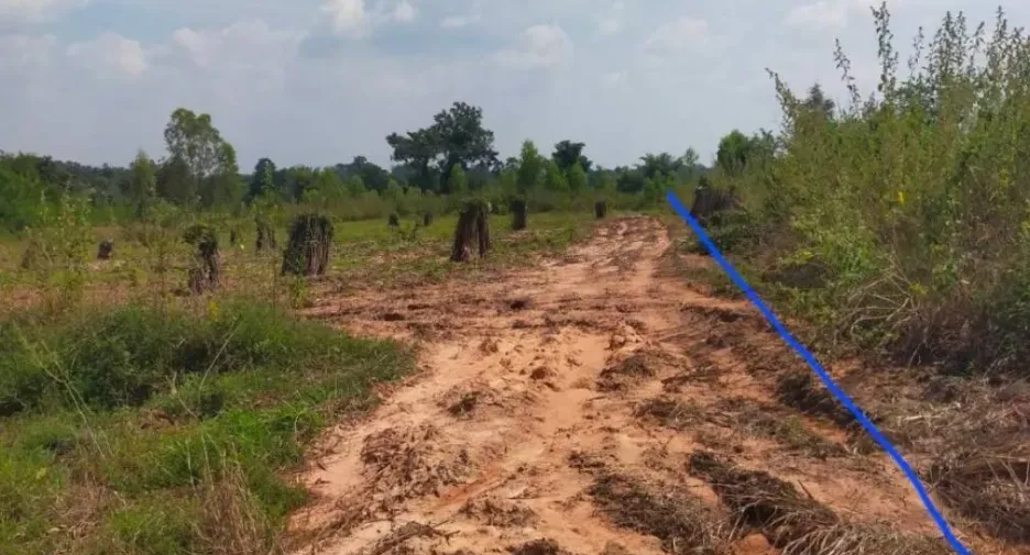 For sale land in Thep Sathit, Chaiyaphum