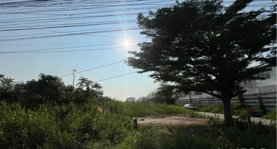 For sale land in Lat Krabang, Bangkok