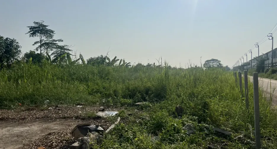 For sale land in Lat Krabang, Bangkok