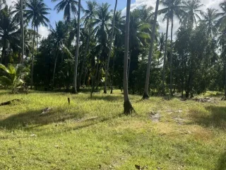 À vendre terrain à Ko Pha-ngan, Surat Thani