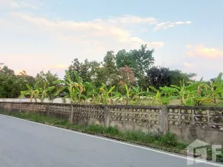 出售 土地 在 Saraphi, Chiang Mai