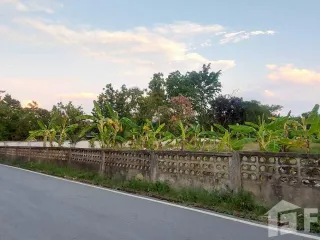 出售 土地 在 Saraphi, Chiang Mai