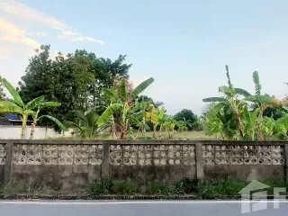 出售 土地 在 Saraphi, Chiang Mai