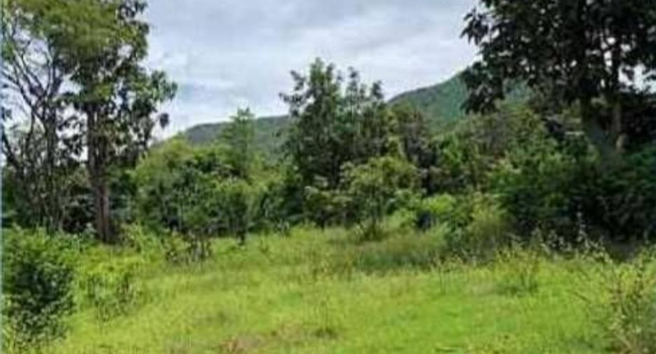For sale 3 bedrooms house in Mueang Lamphun, Lamphun