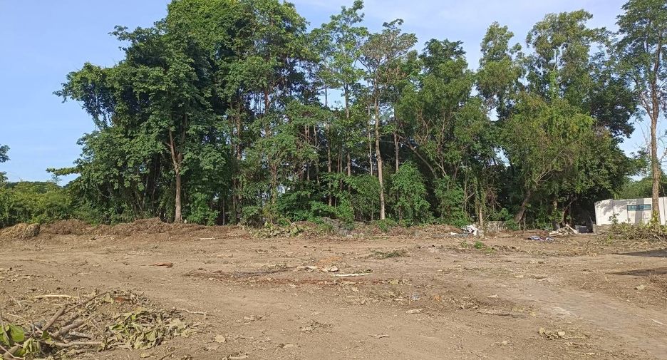 Terreno en venta en Mueang Lamphun, Lamphun