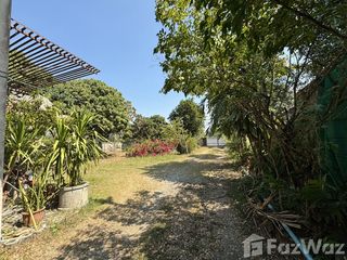 For sale 4 bedrooms house in Mueang Lamphun, Lamphun