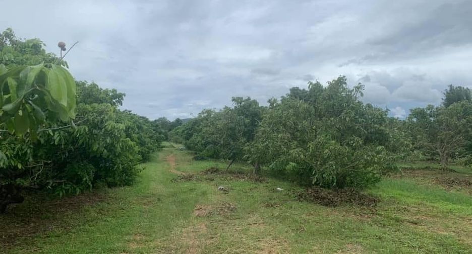 Продажа Участок в Mueang Lamphun, Лампхун
