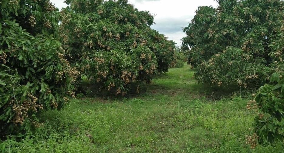 Продажа Участок в Mueang Lamphun, Лампхун
