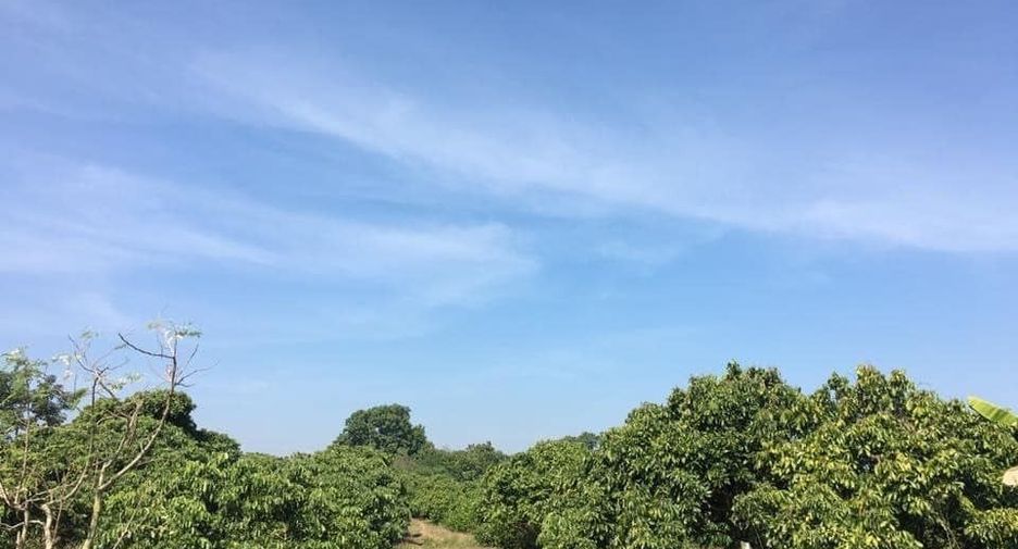 Продажа Участок в Mueang Lamphun, Лампхун