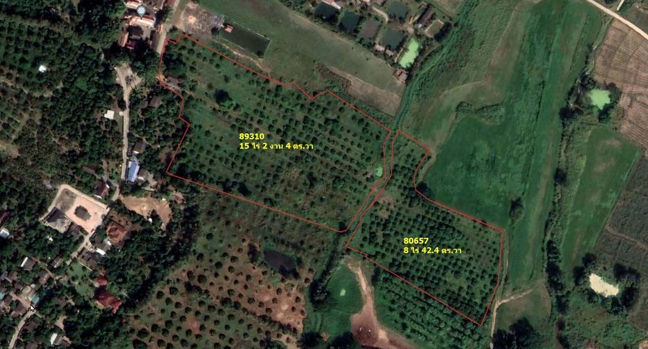 Продажа Участок в Mueang Lamphun, Лампхун