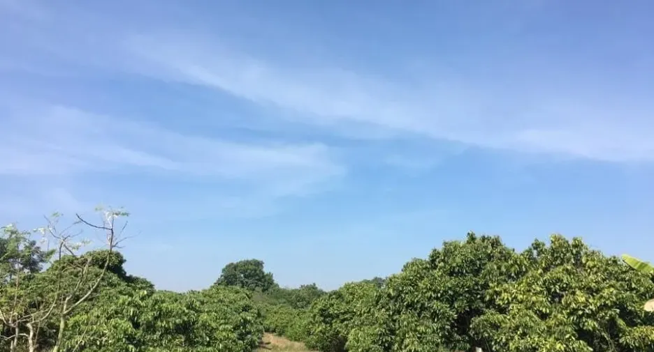 Grundstück zum Kauf in Mueang Lamphun, Lamphun