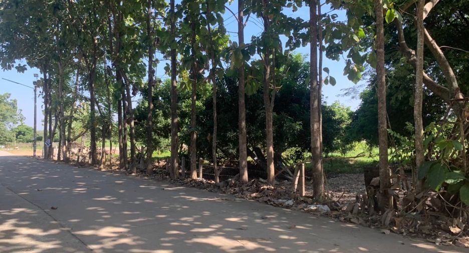 Продажа Участок в Mueang Lamphun, Лампхун