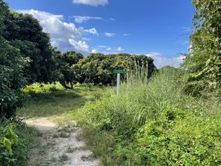 ขาย ที่ดิน ใน บ้านธิ, ลำพูน