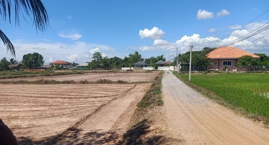 For sale land in Mueang Lamphun, Lamphun