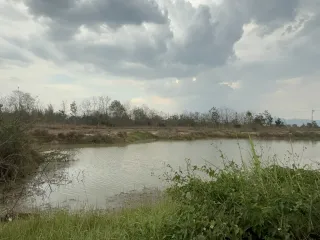 ขาย ที่ดิน ใน บ้านธิ, ลำพูน