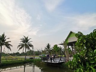Продажа Участок в Mueang Lamphun, Лампхун