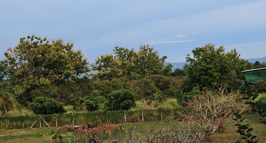 À vendre terrain à Mueang Lamphun, Lamphun