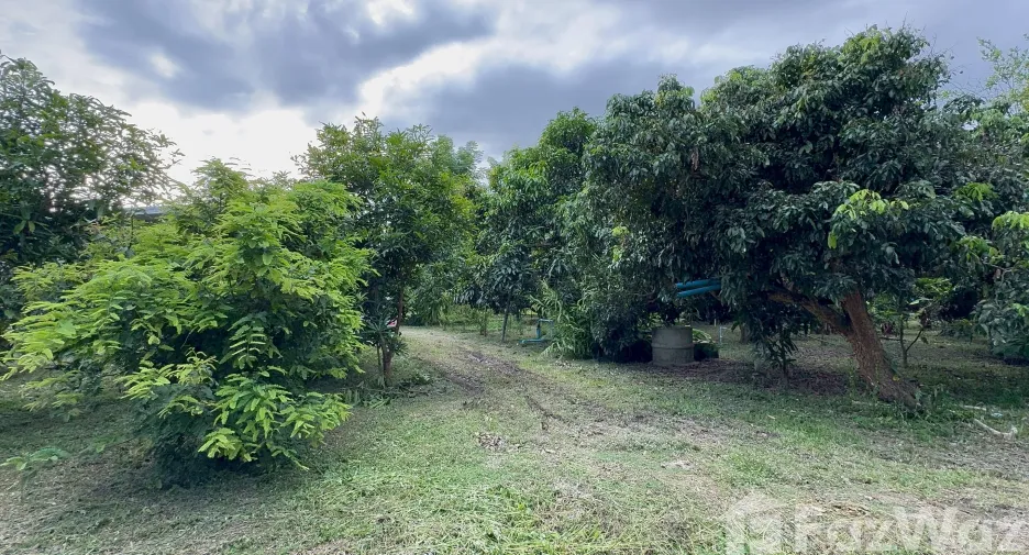 For sale land in Mueang Lamphun, Lamphun