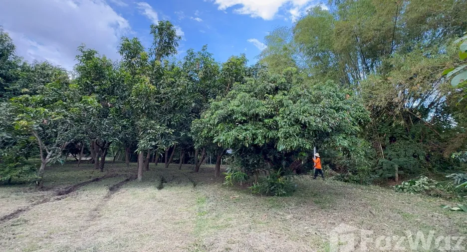 For sale land in Mueang Lamphun, Lamphun