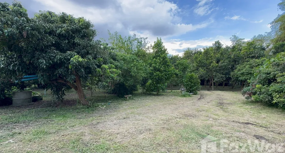 For sale land in Mueang Lamphun, Lamphun